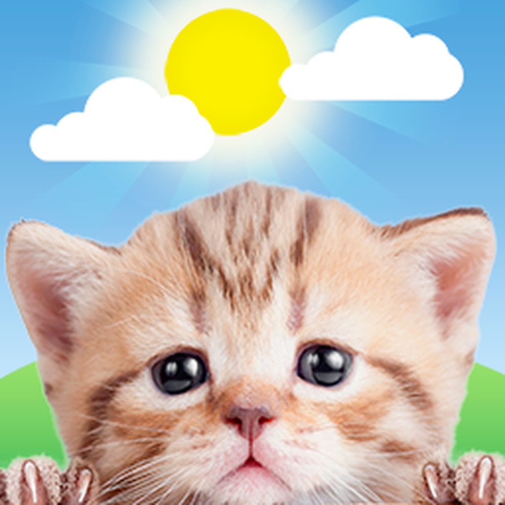 Weather Kitty: Weather + Radar app icon captured 2026-08-15