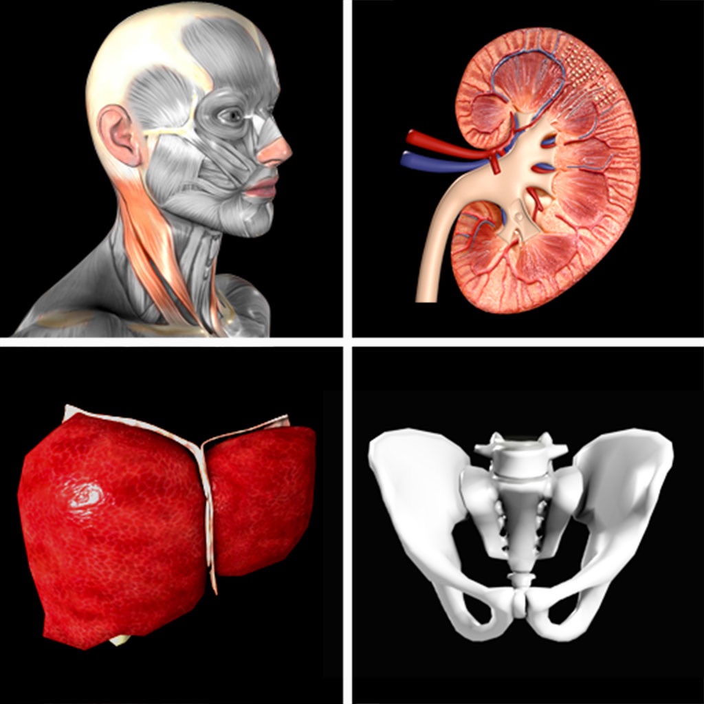 Quiz de Anatomia Pro app icon captured 2026-08-13