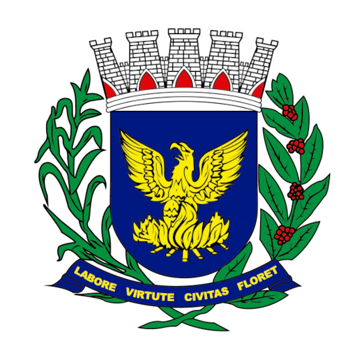NFSe Campinas Google Play icon captured 2026-08-16