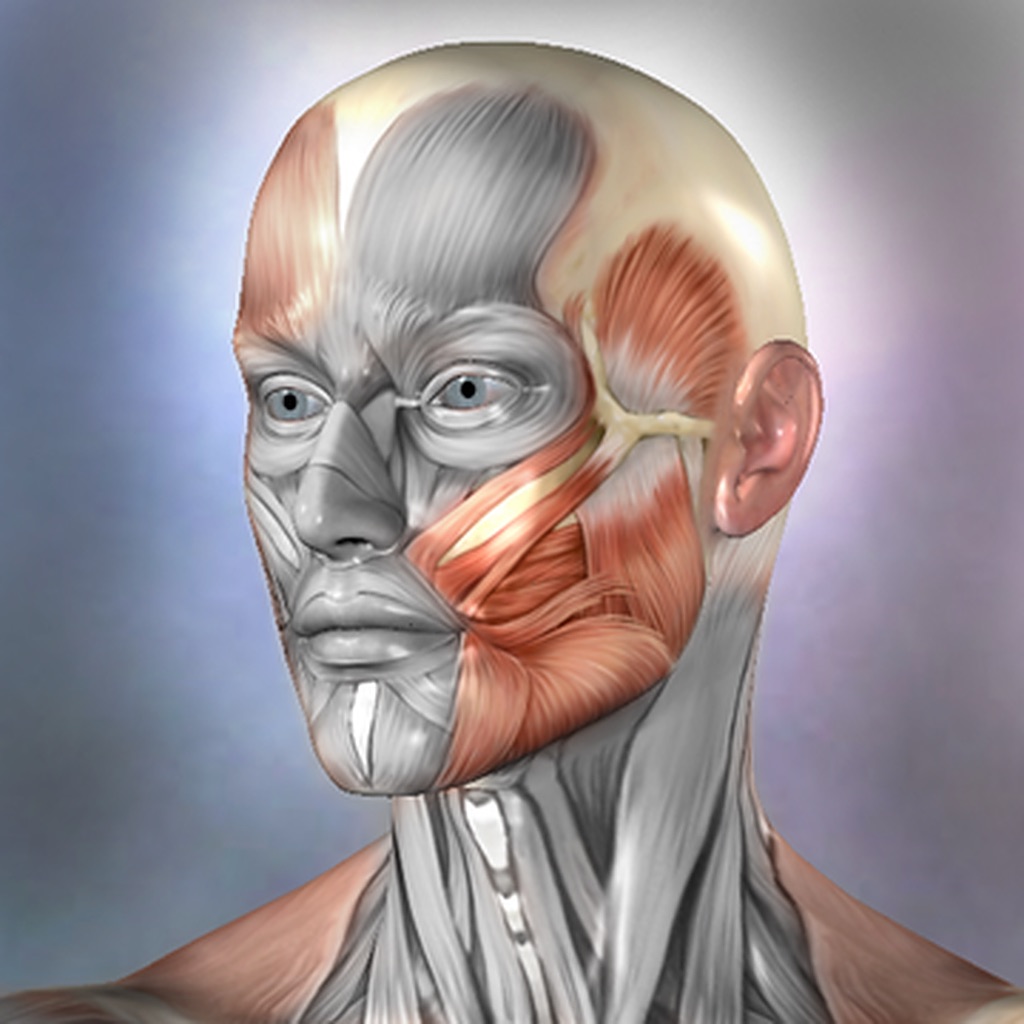 Muscle & Bone Anatomy 3D app icon captured 2026-08-12