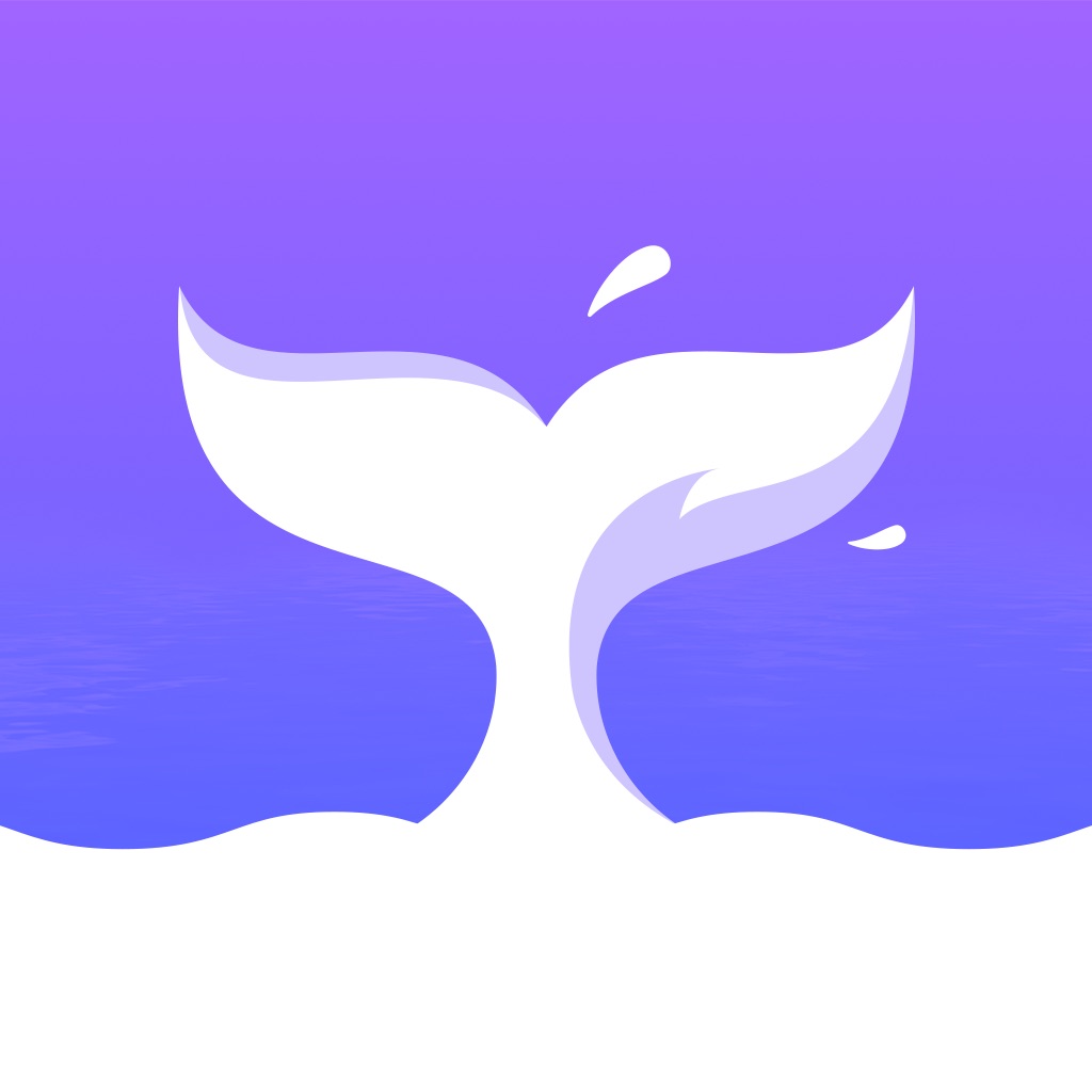 RocNovel app icon captured 2026-08-14
