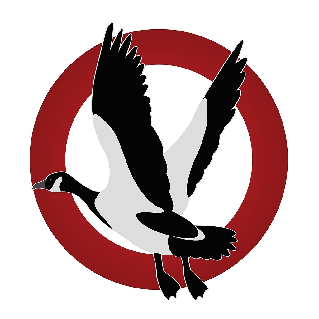Goose Tech app icon captured 2026-08-11