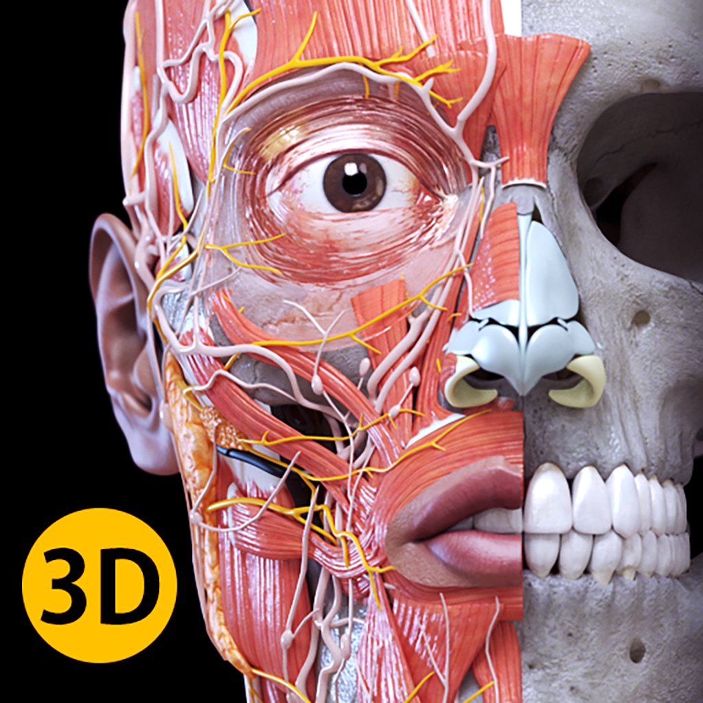 Anatomia - Atlas 3D app icon captured 2026-08-13