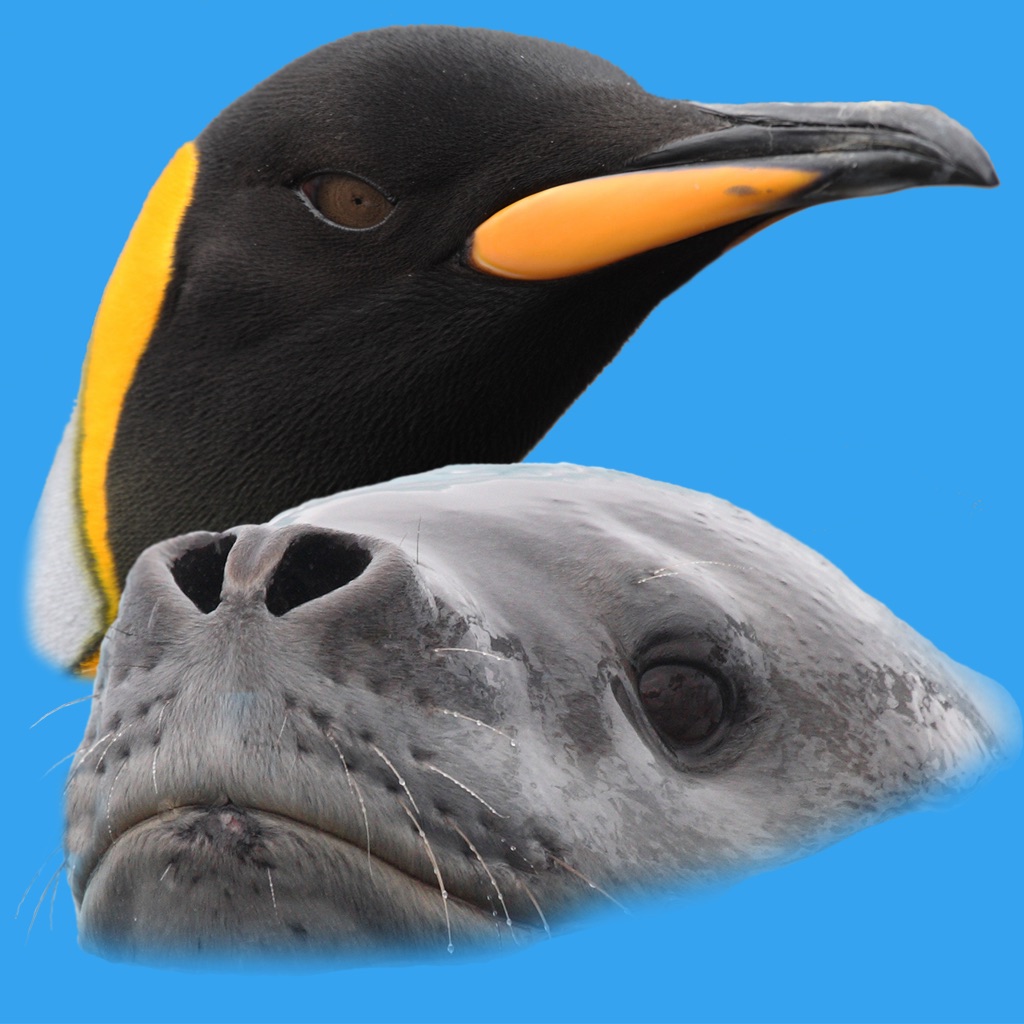 Antarctic Wildlife Guide app icon captured 2026-08-12