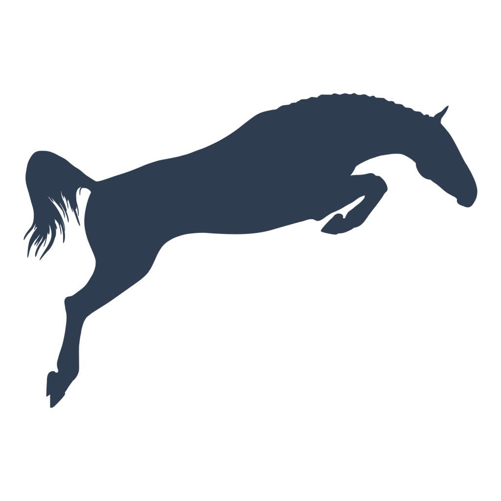 Equijump app icon