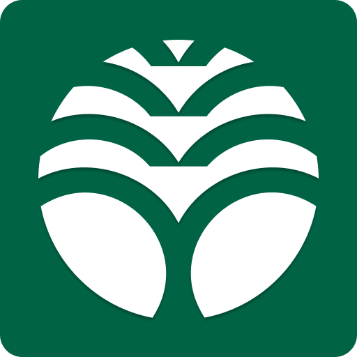 AM POST Portal de Notícias Google Play icon captured 2026-08-16