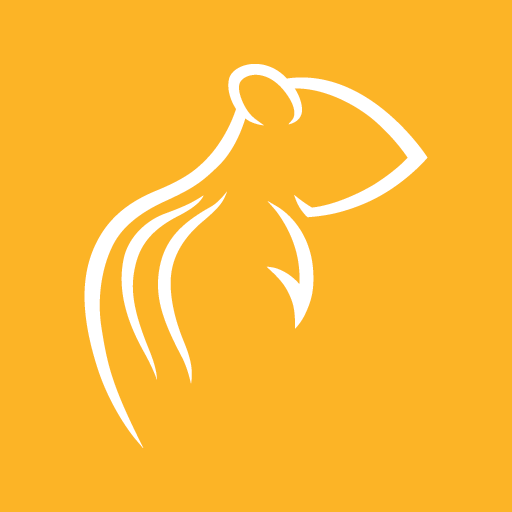 Chipmunk Google Play icon captured 2026-08-12