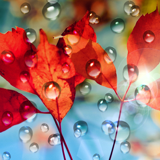 Chuva Fundo Dinâmicar Google Play icon captured 2026-08-17