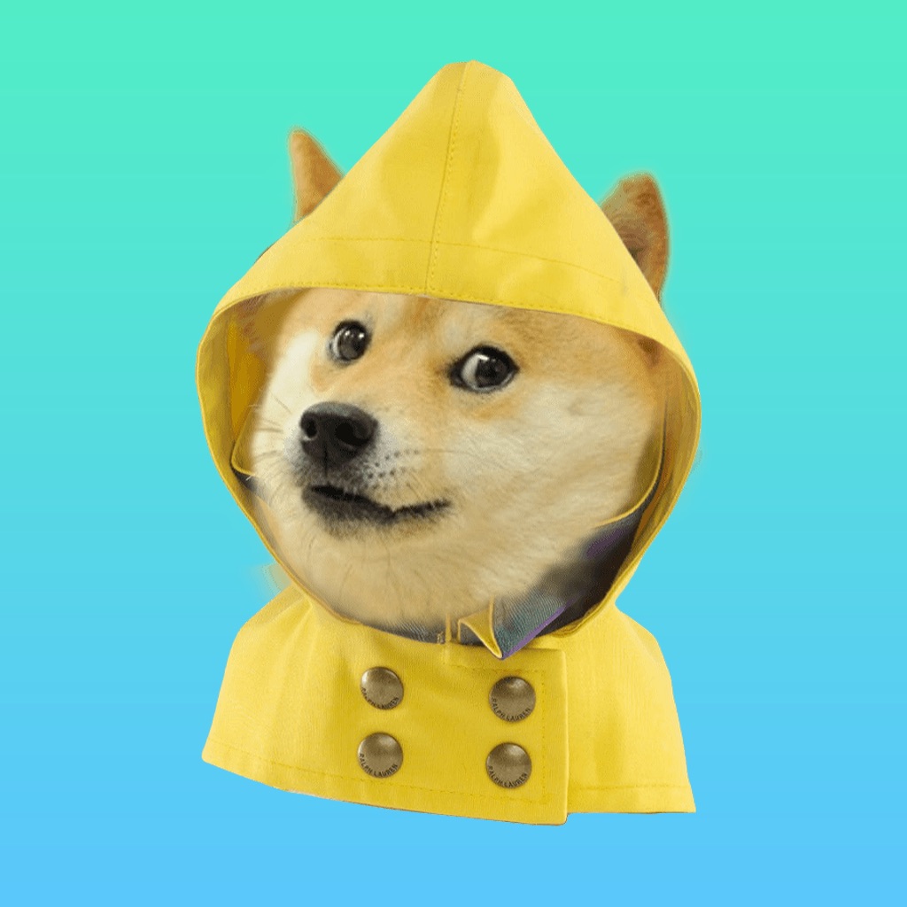 Doge Weather app icon captured 2026-08-13