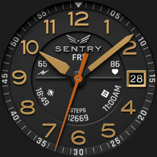BLZ SENTRY - Field Watch Face Google Play icon captured 2026-08-14