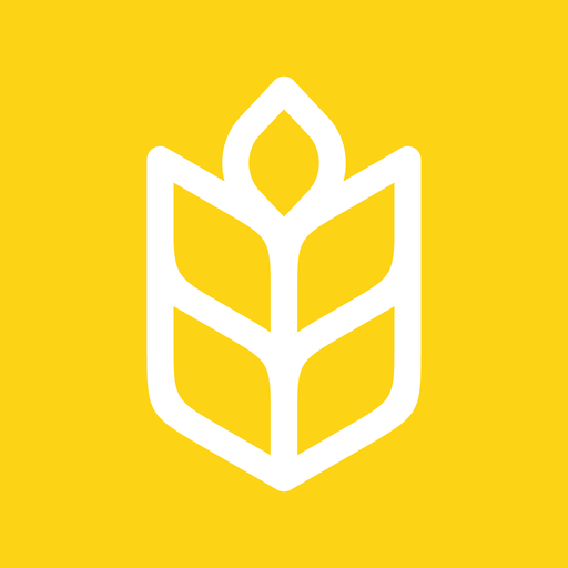 Kneady: Bread & Baking Recipes Google Play icon captured 2026-08-14