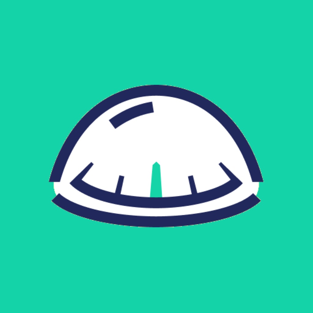 Savvy Navvy: Boat Navigation app icon captured 2026-08-15