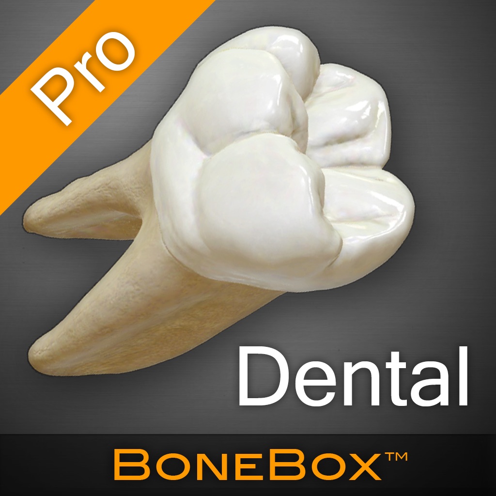 BoneBox™ - Dental Pro app icon captured 2026-08-12