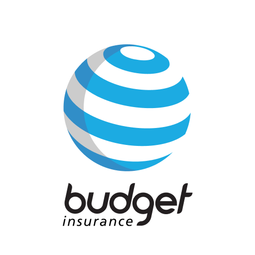 Budget Insurance Google Play icon captured 2026-08-14