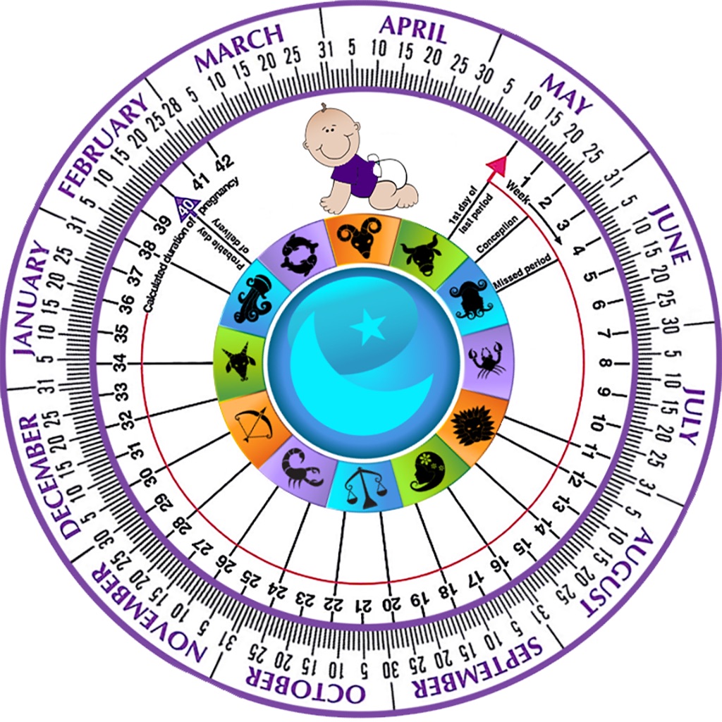 Pregnancy Wheel HD app icon captured 2026-08-14