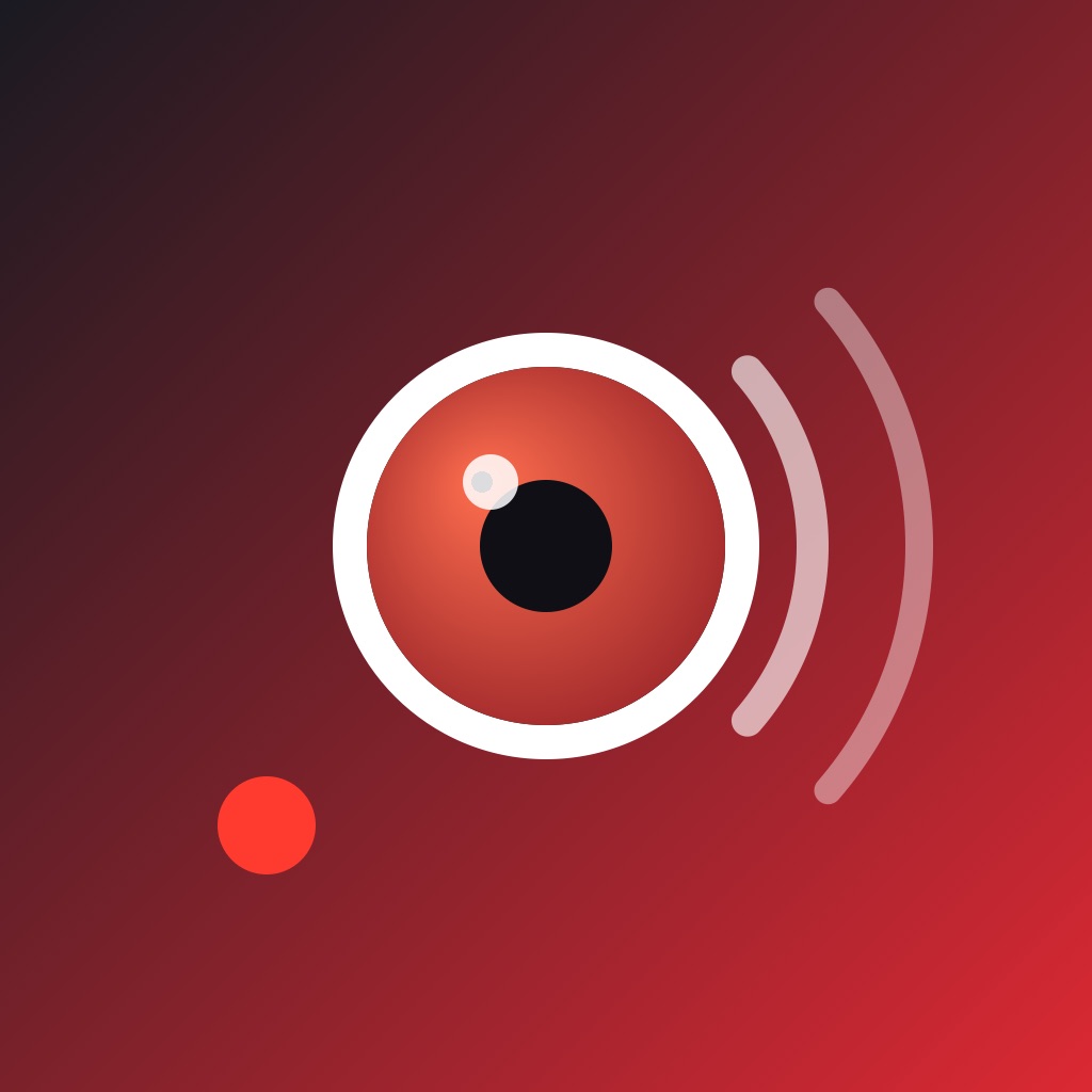 iRTSP app icon