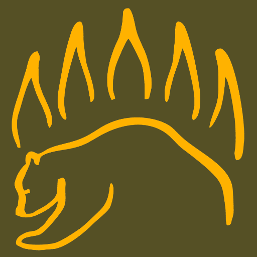 Knot IQ - The Bear Essentials Google Play icon captured 2026-08-11