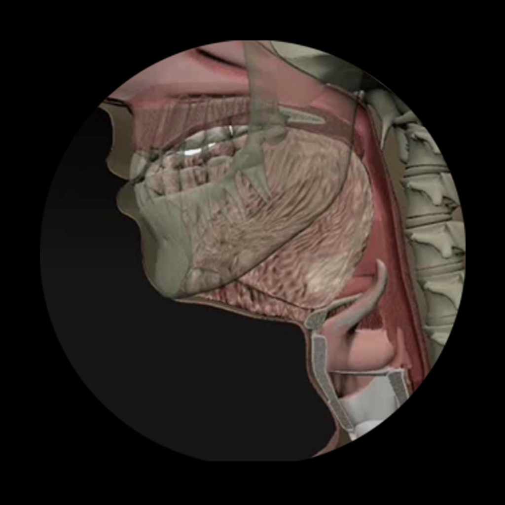 Dysphagia app icon captured 2026-08-12