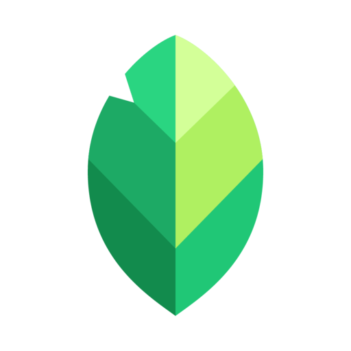 Snapseed Google Play icon captured 2026-08-11