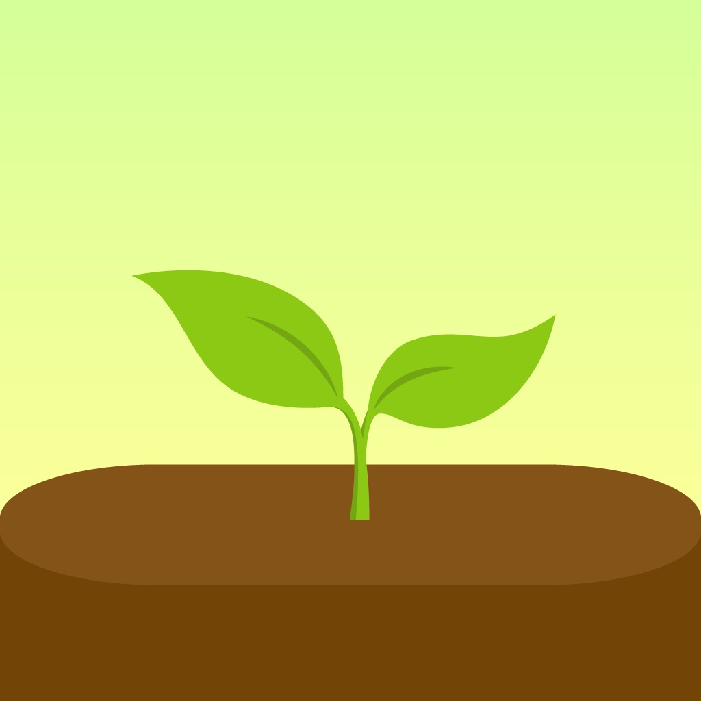 Forest: Focus for Productivity app icon captured 2026-08-12