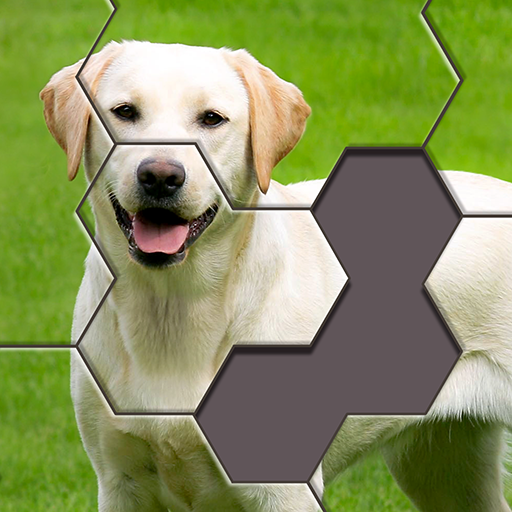 Hexa Jigsaw Puzzle ® Google Play icon captured 2026-08-15