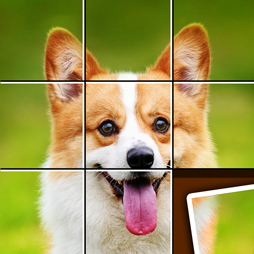 Shape Sort - jigsaw puzzle Google Play icon captured 2026-08-15