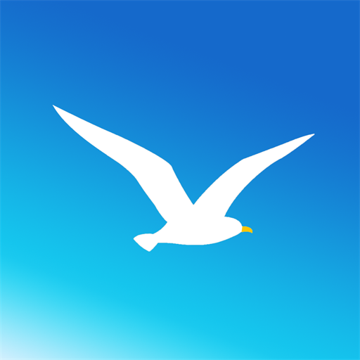 Seagull VPN-Easy and reliable! Google Play icon captured 2026-08-15