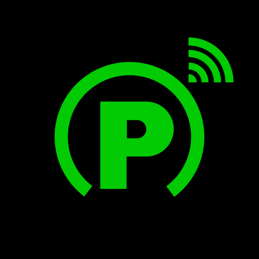 Rizzo Pay app icon captured 2026-08-18