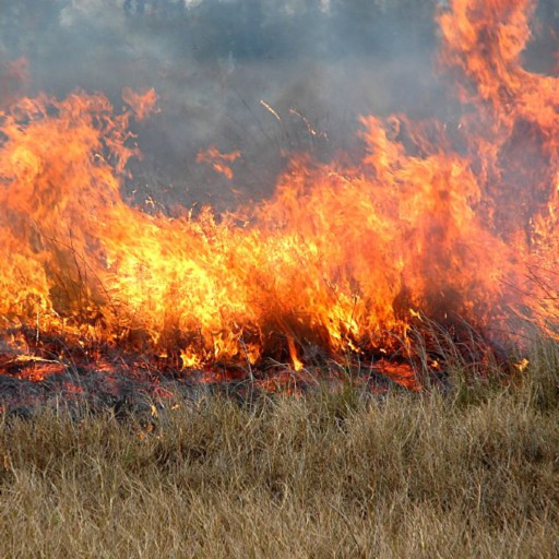 Wildland Toolkit Google Play icon