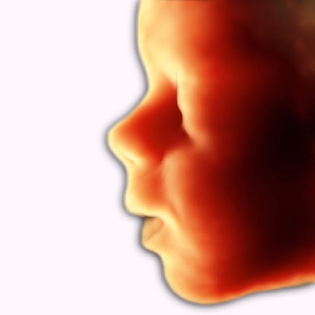 ScanBaby learn baby ultrasound app icon captured 2026-08-14