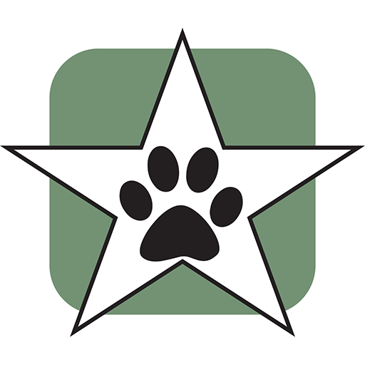 MyRallyCoach Google Play icon captured 2026-08-12