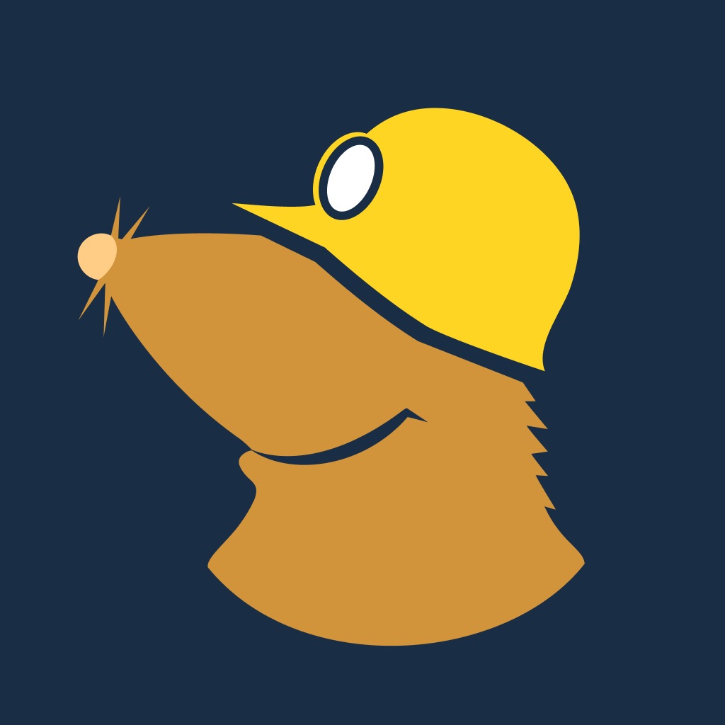 Mullvad VPN app icon captured 2026-08-12