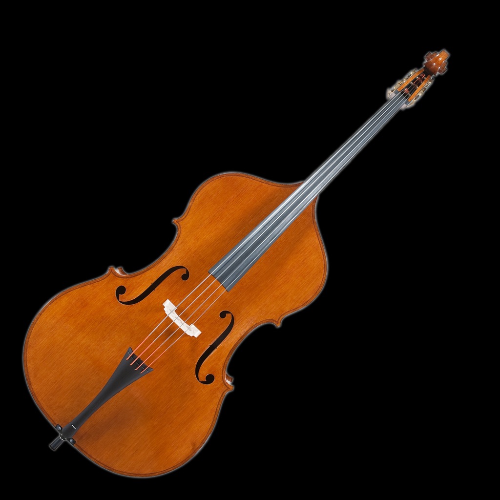 Double Bass Tuner Simple app icon captured 2026-08-12