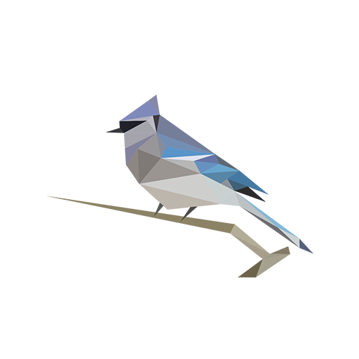 BirdNET Google Play icon captured 2026-08-14