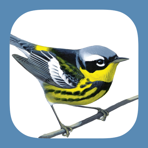 Sibley Birds 2nd Edition Google Play icon captured 2026-08-12