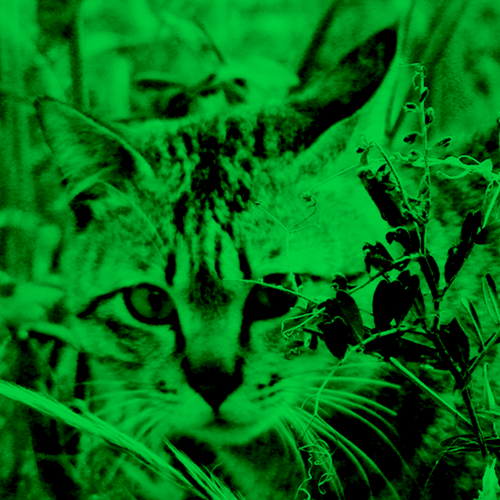 Virtual Night Vision app icon