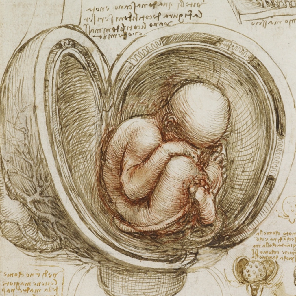 Leonardo da Vinci: Anatomy app icon captured 2026-08-13