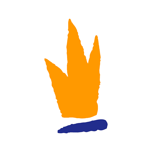 Princess Hotels & Resorts Google Play icon captured 2026-08-16