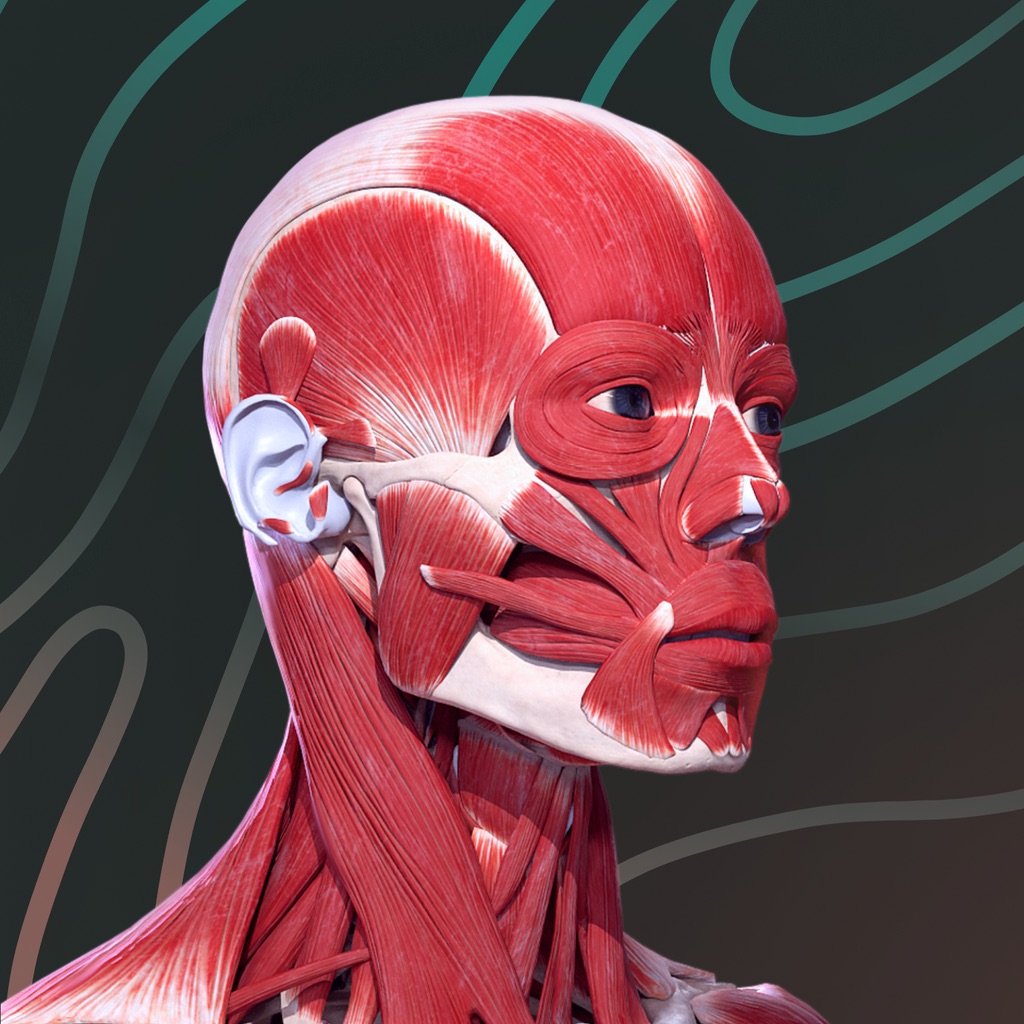 Easy Anatomy 3D with Voice AI app icon captured 2026-08-12