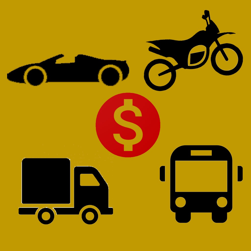 PlacaFip app icon captured 2026-08-13