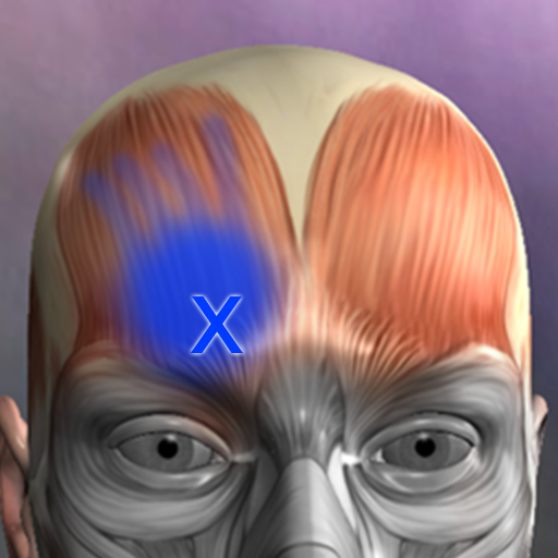 Muscle Trigger Point Anatomy app icon captured 2026-08-18