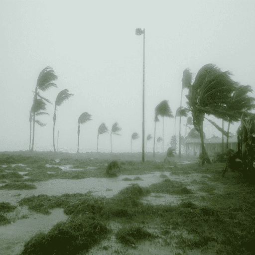 Rain and Wind Sounds app icon captured 2026-08-18