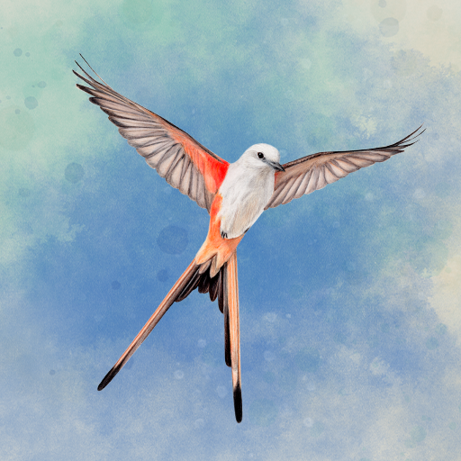 Wingspan: The Board Game Google Play icon