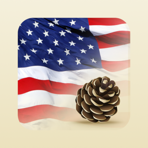 USA Press News Google Play icon captured 2026-08-15