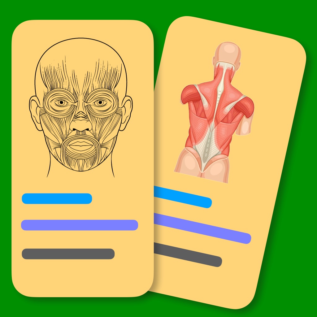Muscle Flashcards Pro app icon captured 2026-08-15