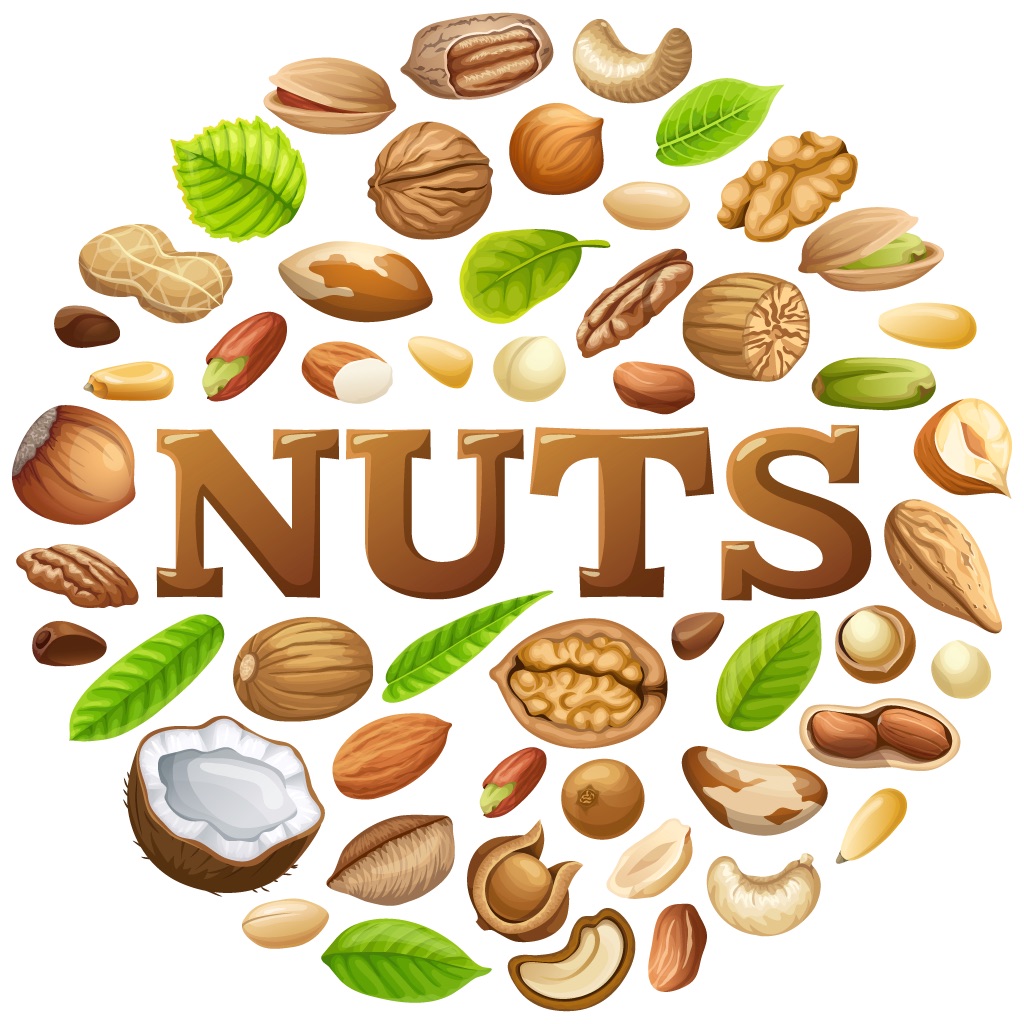 Nuts Stickers Pack app icon captured 2026-08-14