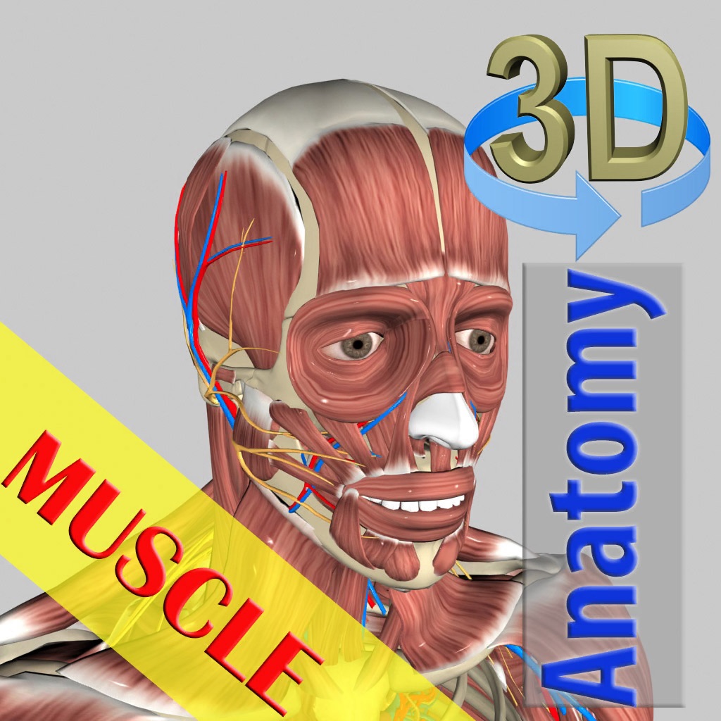 3D Bones and Muscles (Anatomy) app icon captured 2026-08-14