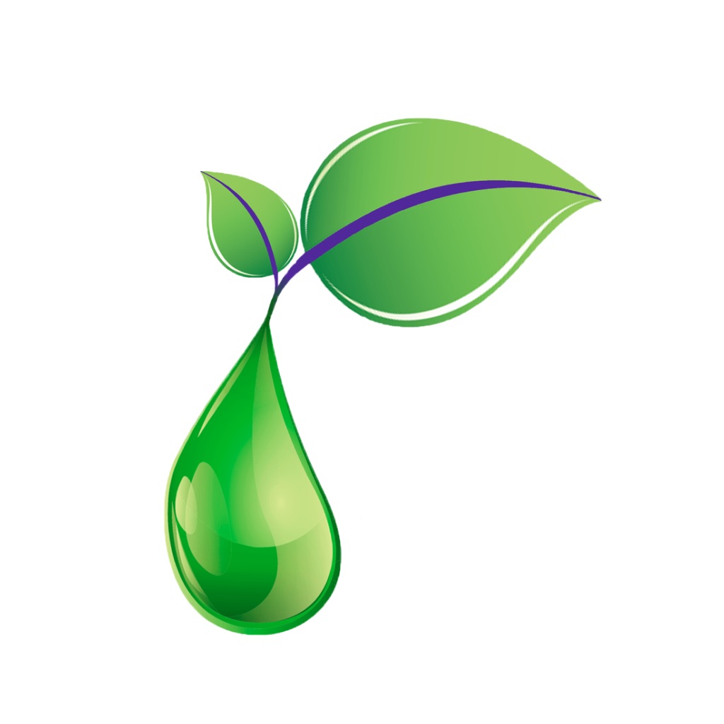 EoEbooks app icon captured 2026-08-11