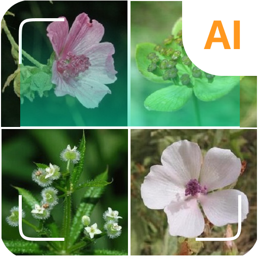 Plant identifier app icon captured 2026-08-18
