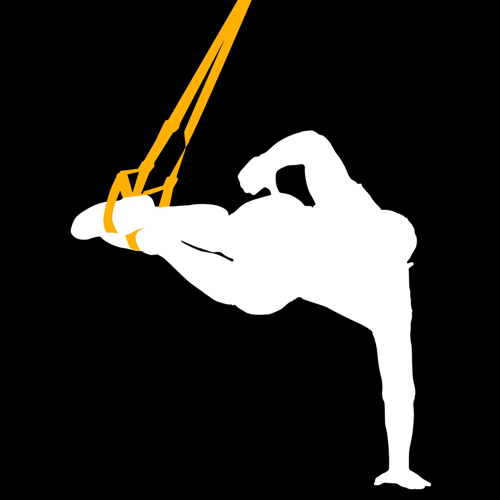Stark Suspension app icon captured 2026-08-12